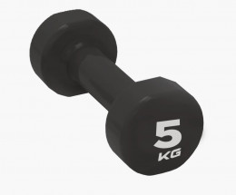 Гантели, гири: Гантель виниловая LivePro STUDIO DUMBBELL 5 кг