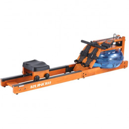 Гребные тренажеры: Гребной тренажер Vigor 6205