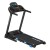 Беговая дорожка FitLogic T710E, фото